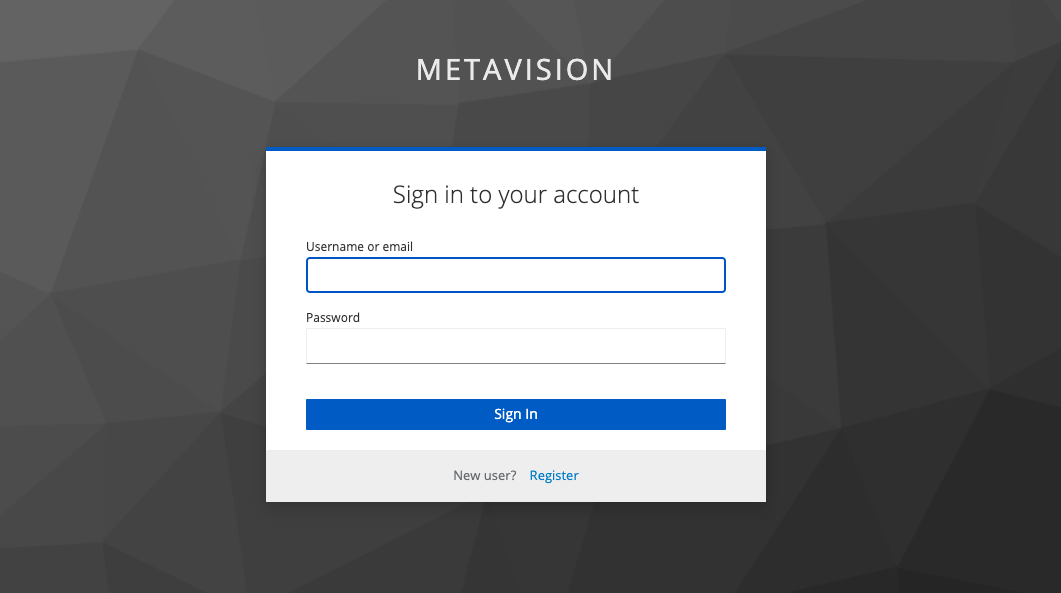 MetaVision2 Architecture